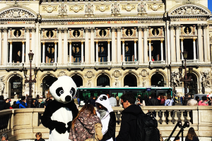 Campagne de street marketing... les pandas envahissent Paris !
